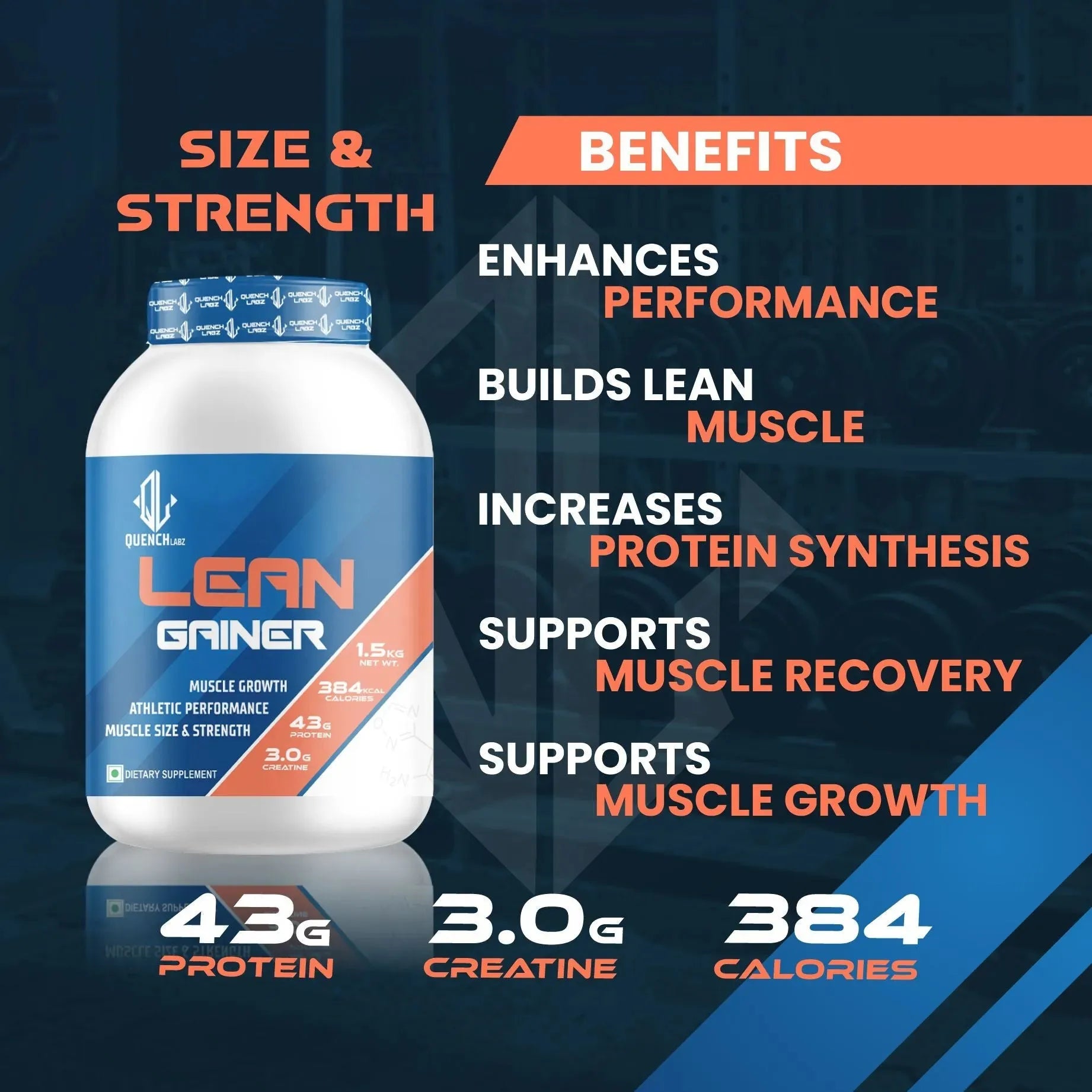 Lean gainer beneits