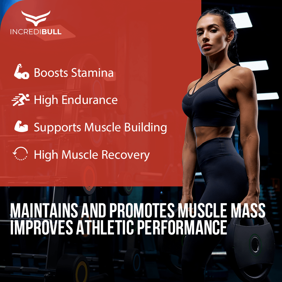 IB Premium Whey Protein | 24 G Protein | 2 G Glutamine | 5.8 g BCAA - Quenchlabz