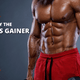 Where to Buy the Best Mass Gainer Online: A Complete Guide