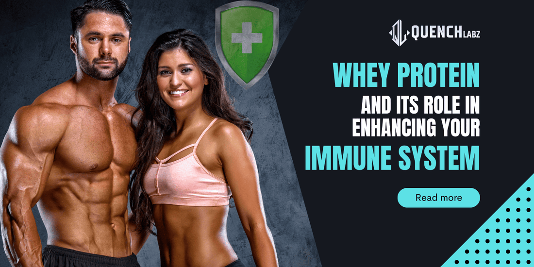 bioactive whey protein glutathione Whey Protein and Immune System: Benefits for Better Health & Immunity – Quenchlabz