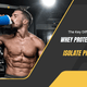 The Key Differences Between Whey Protein Concentrate and Isolate Protein Powder
