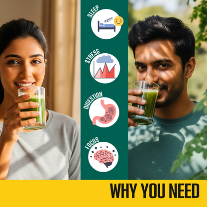 Organic Moringa Powder | Powerhouse of Minerals & Anti Oxidants