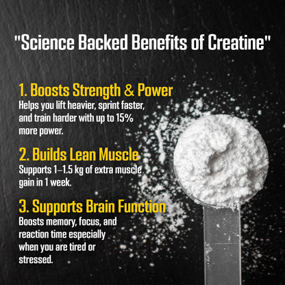 Workout Stack (Pre-Workout 240 Gm + BCAA 240 Gm + Creatine 120 Gm)