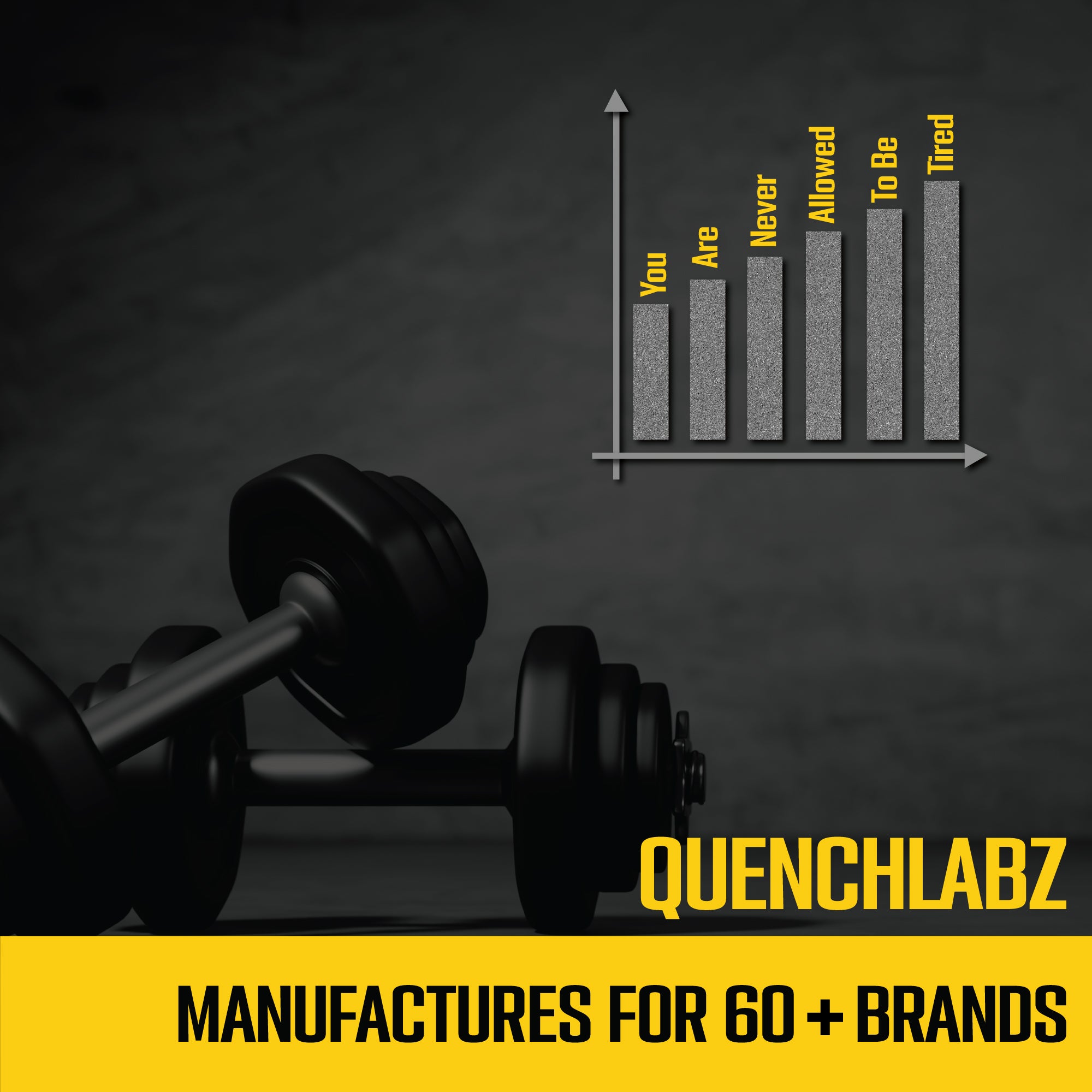 Catalyzed Whey Protein | 24 G Protein
