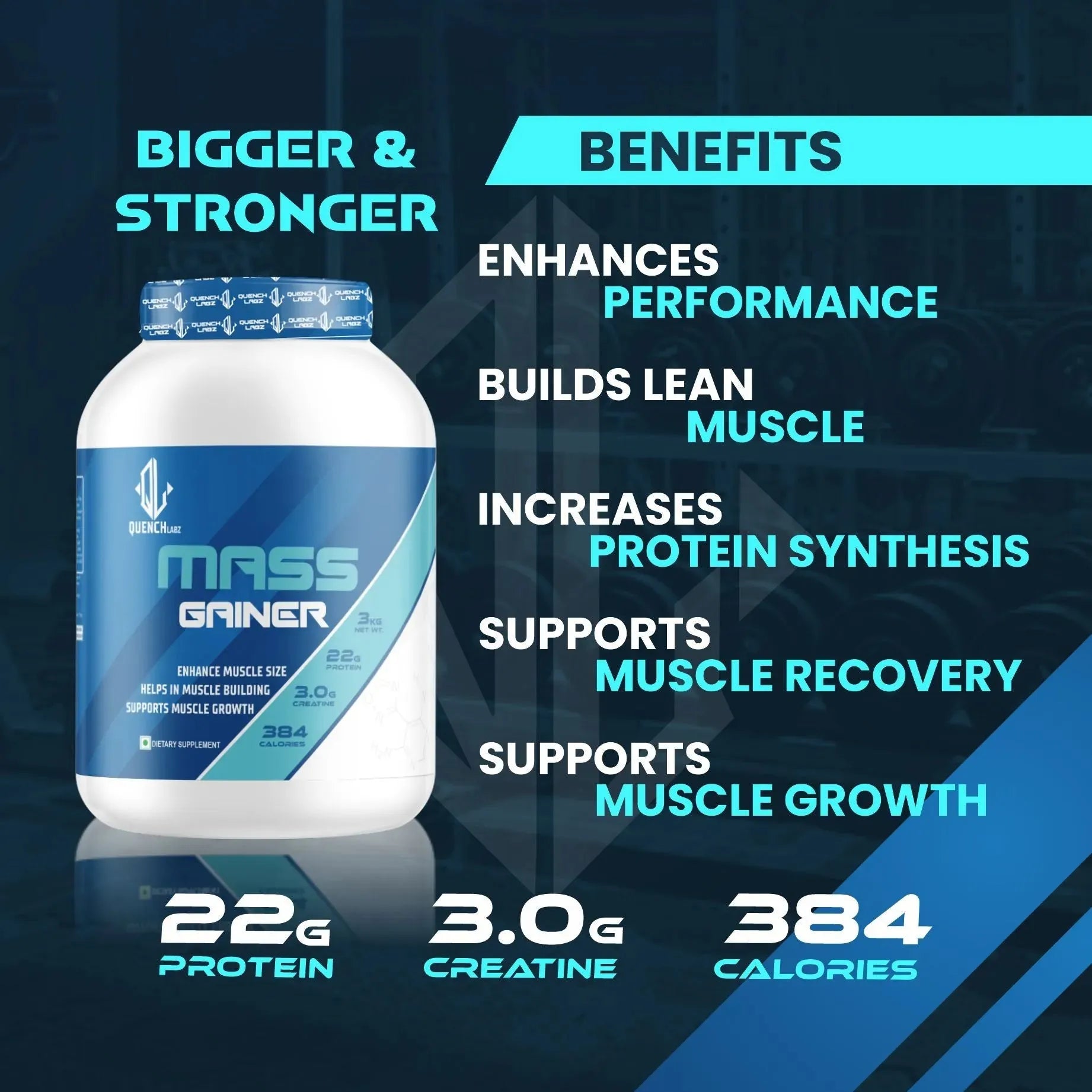 Buy QuenchLabz Mass Gainer @₹999 Gain Weight Muscle