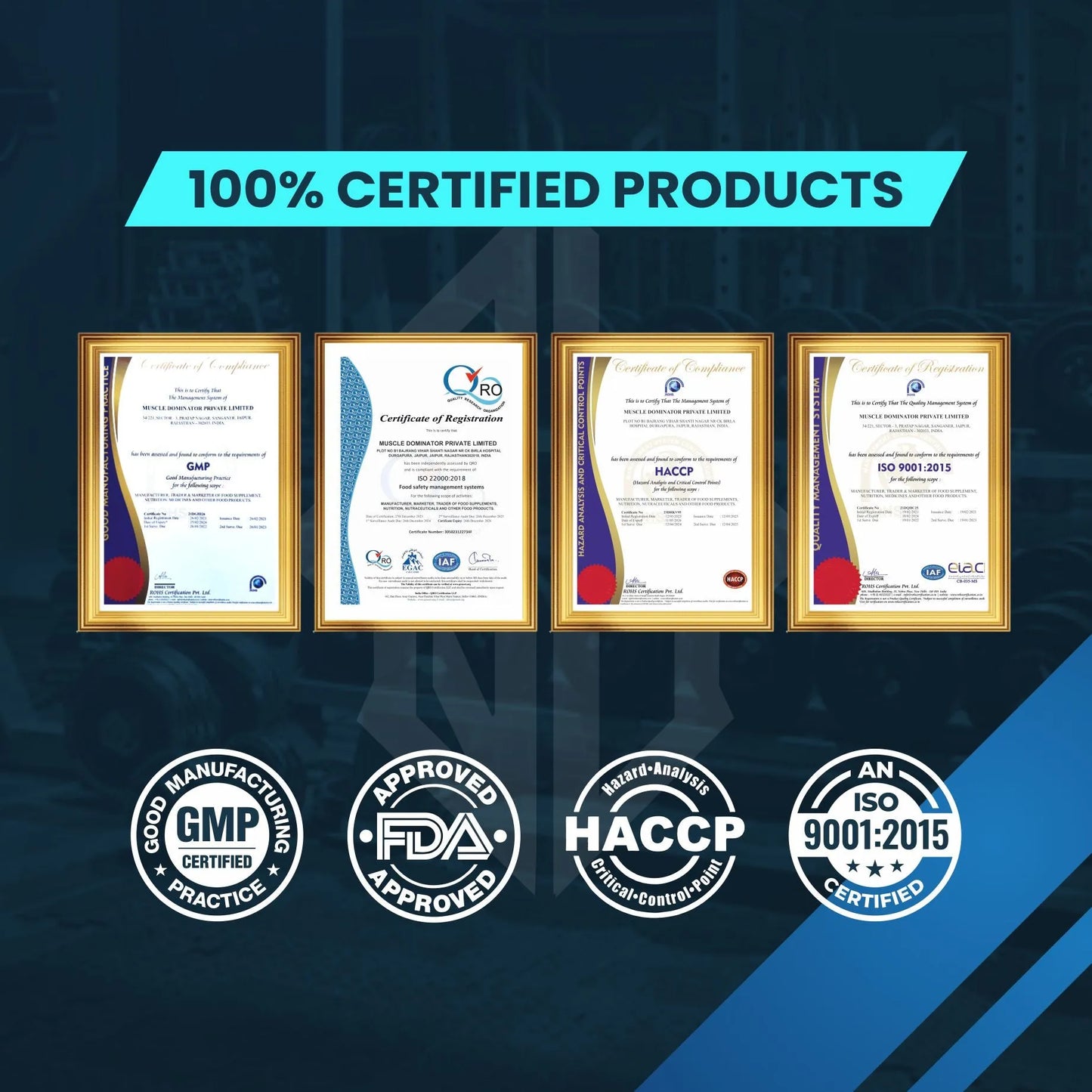 Whey Protein With Free Steel Shaker | Muscle Building and Workout Recovery