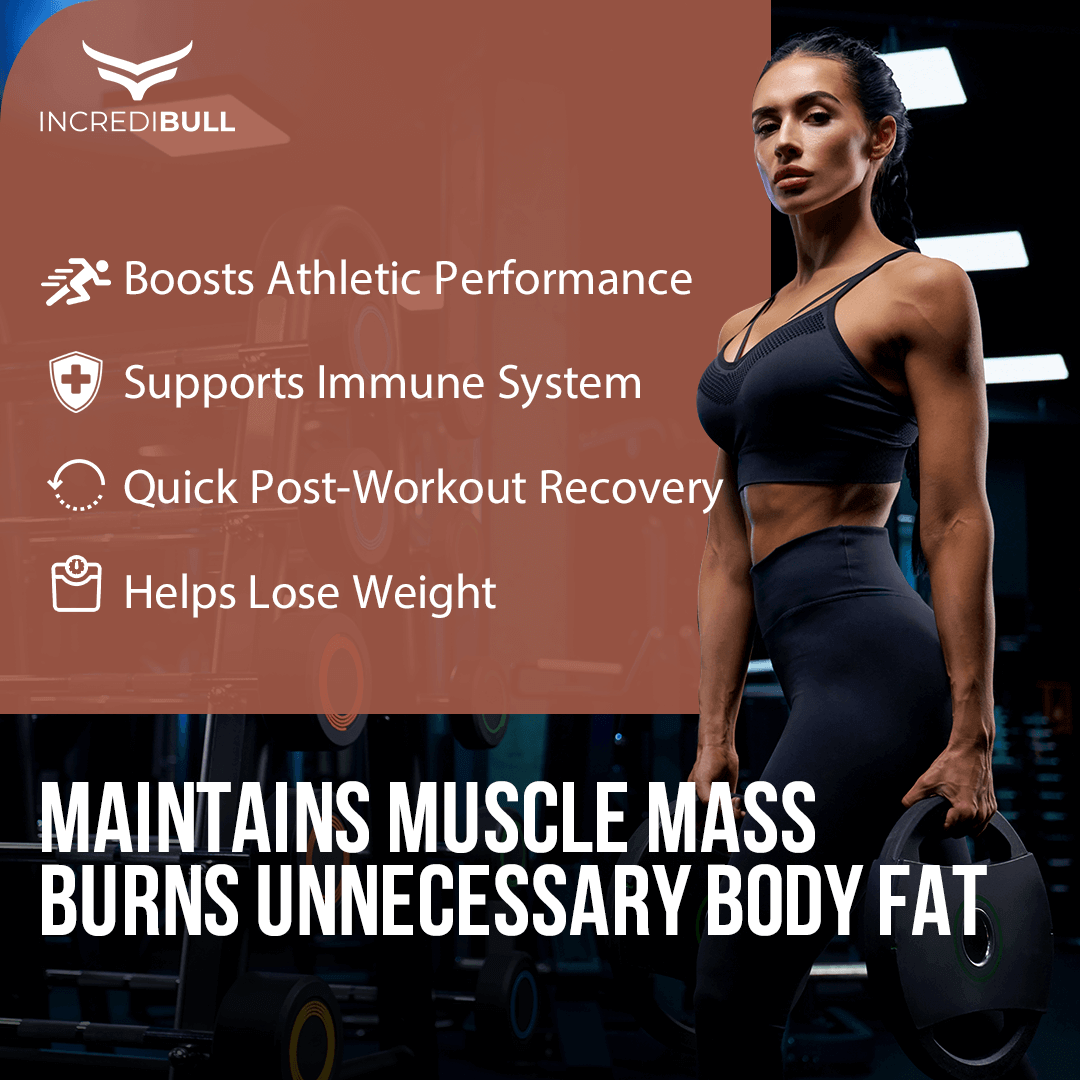 IB Premium Nitrabull Whey | 31 G Protein | 3 G Creatine | 1.5 G Tribulus - Quenchlabz